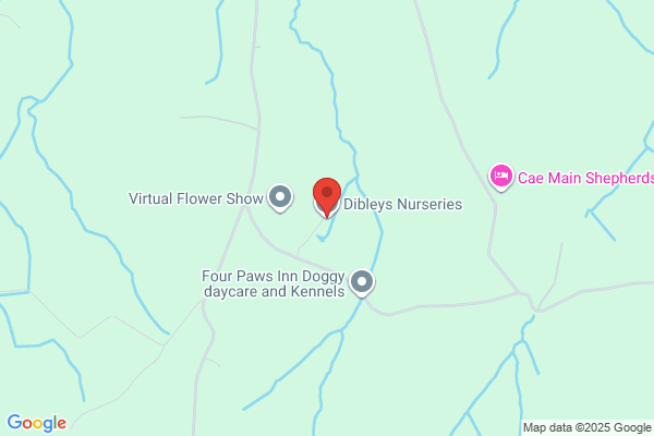 Dibley Nurseries
