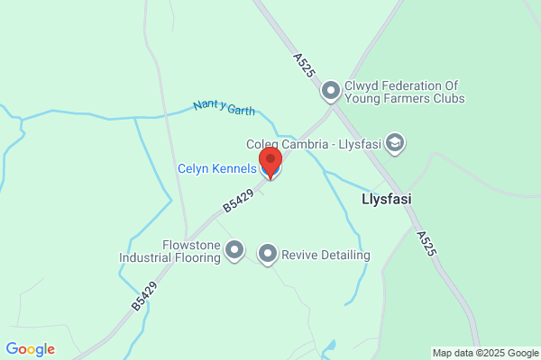 Celyn Kennels