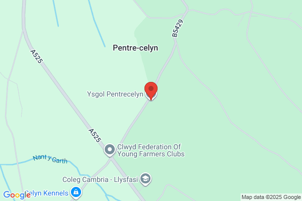 Pentre Celyn County Primary School