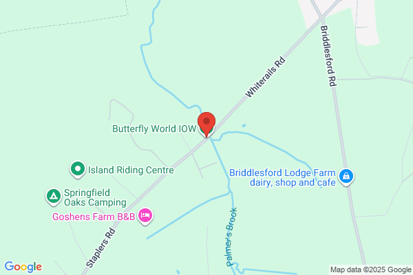 Butterfly World & Fountain World