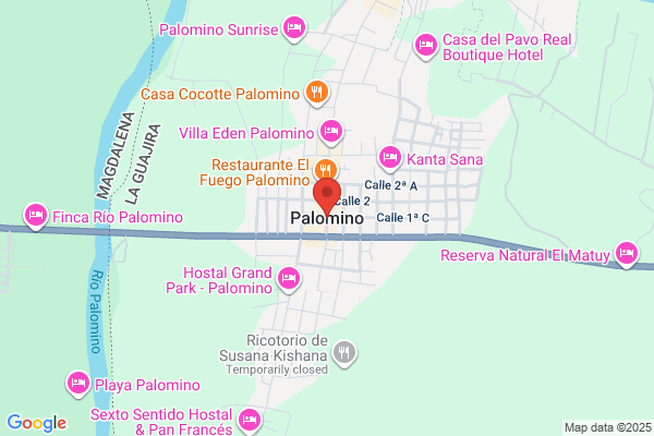 Palomino Tours