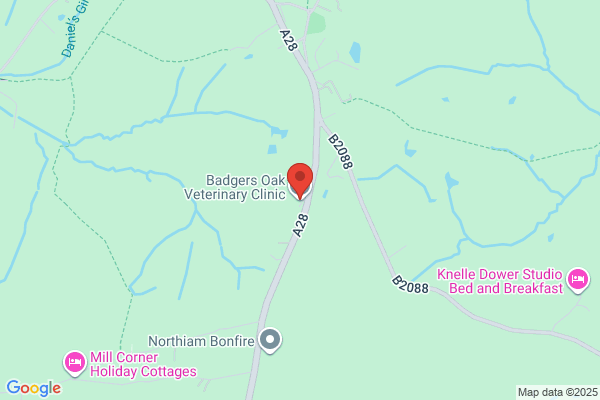 Badgers Oak Veterinary Clinic