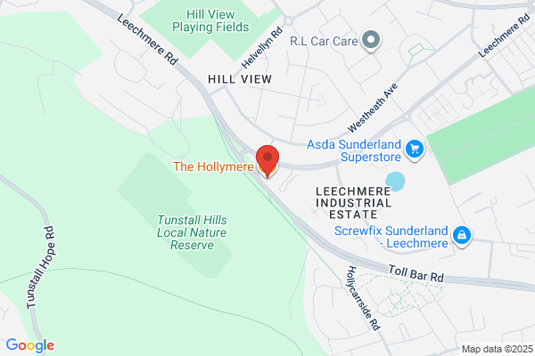 Hollymere