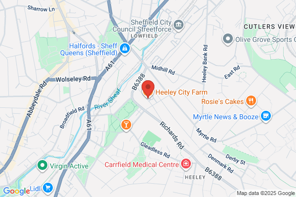 Heeley City Farm
