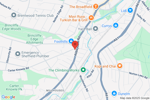 Dr N Green