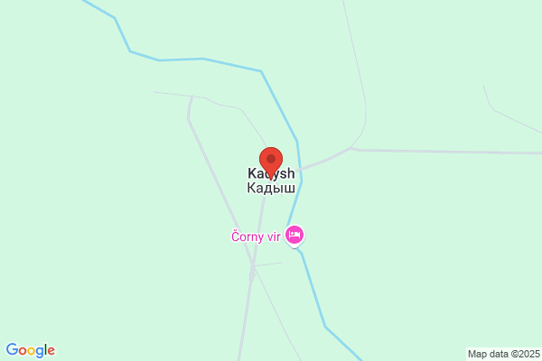 Kady's K9's