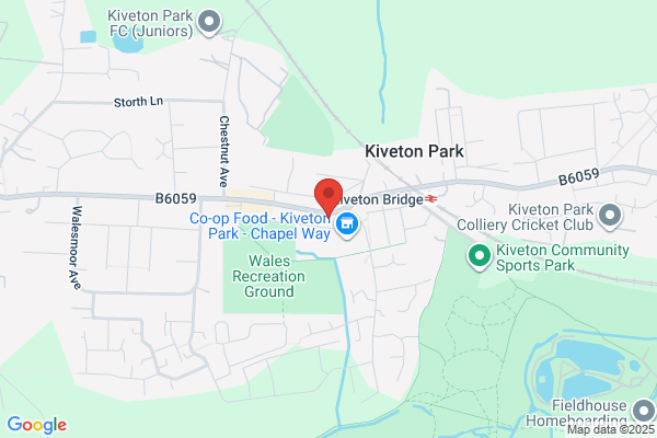 Willow Properties