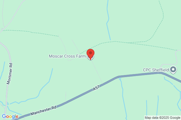 Moscar Marketing