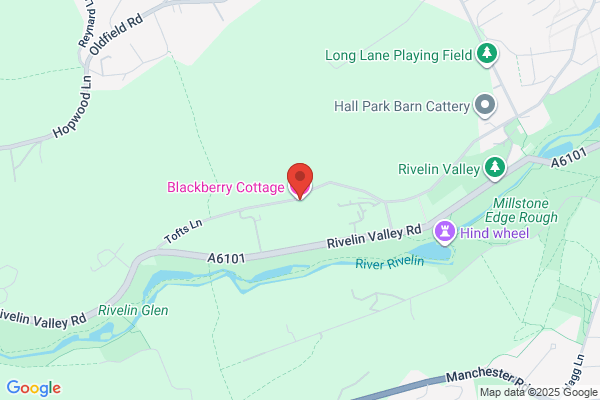 Blackberry Landscapes