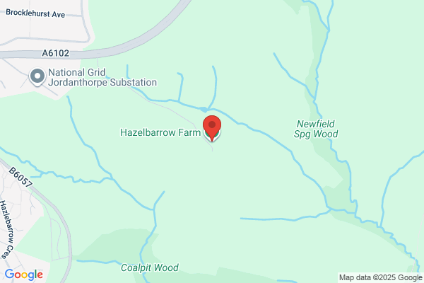 Bay Horse Farm & Garden Services