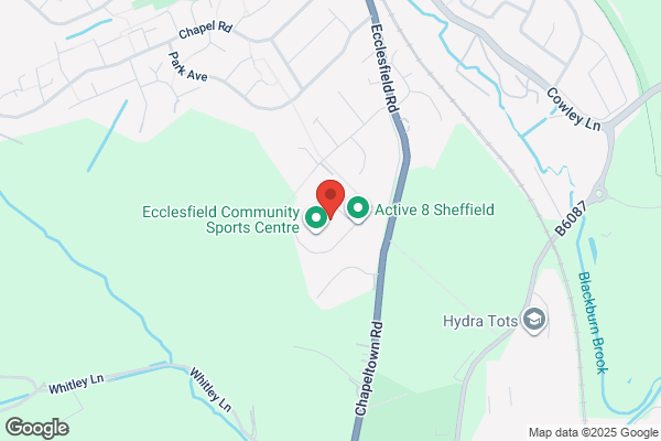 Ecclesfield School