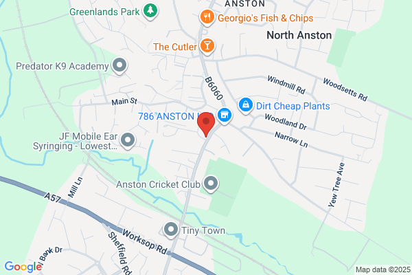 Anston Chinese