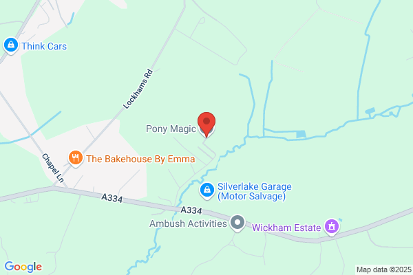 South Hants Pony & Horse Protection Group