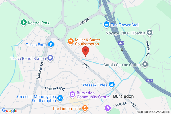 Botleigh Cattery