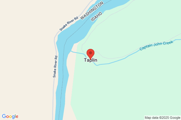P Taplin