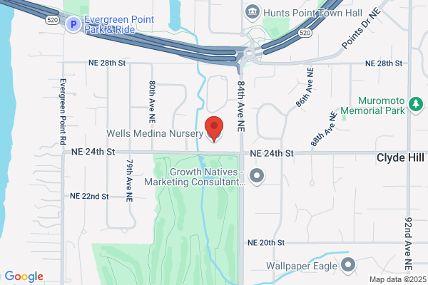 Medina Nursery