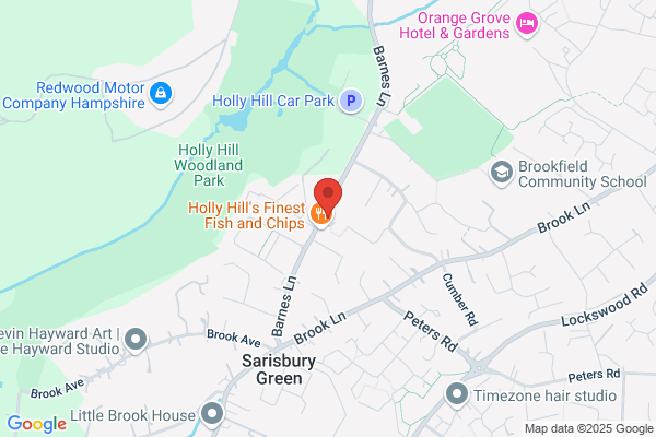 Holly Hill News