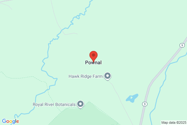Pownall & Co