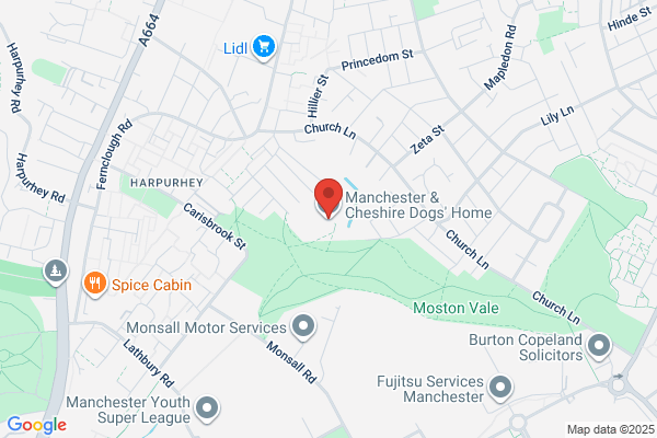 Manchester Dogs Home