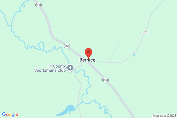 Bernice