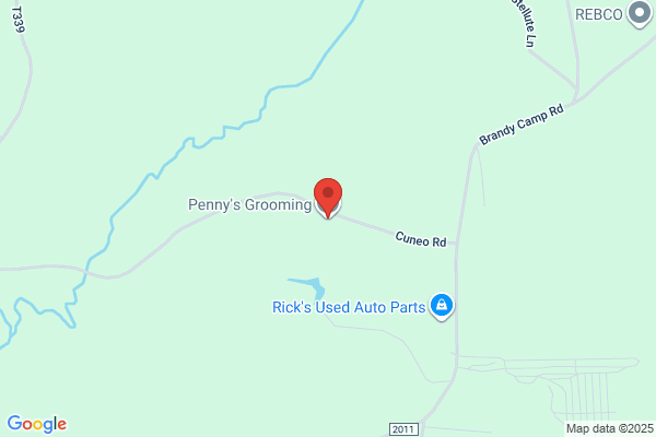 Penny's Poodle Parlour