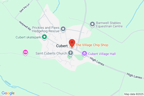 The Village Chip Shop