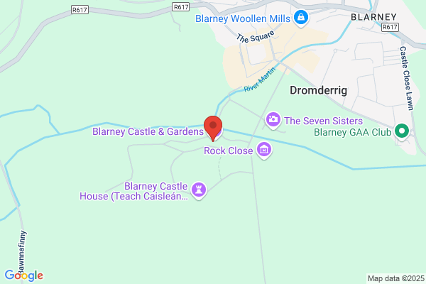 The Blarney Stone