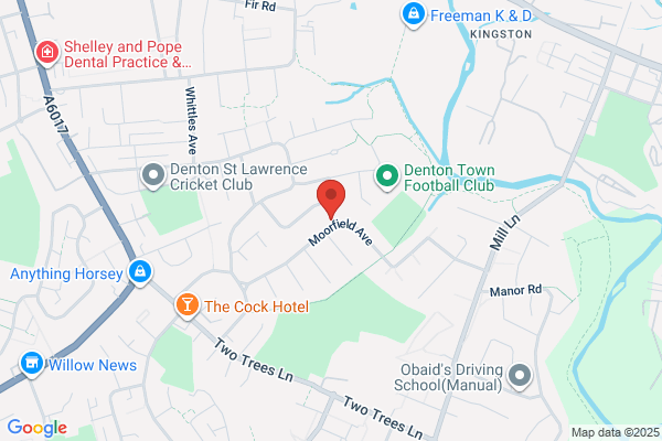 Steels Tree Services