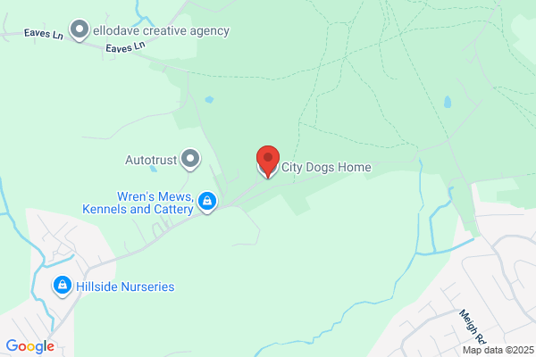 City Dogs Home
