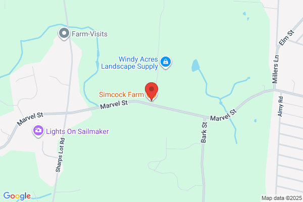 Simcock