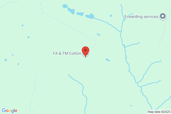 F A Cotton