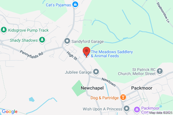 Meadows Cattery