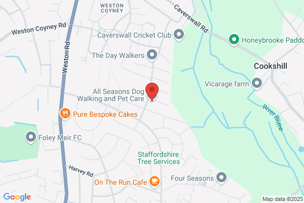 All Seasons Dog Walking & Pet Care