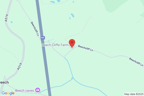 Beech Cliffe Sawmills Ltd