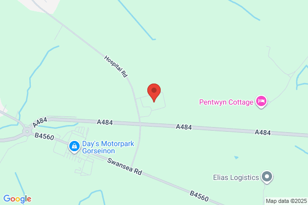 Alzheimers Society