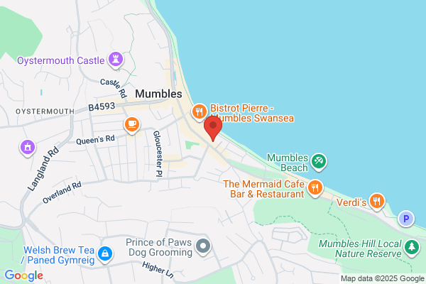 Oystermouth Social Club & Institute Ltd