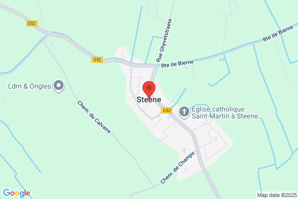 Dr L Steene
