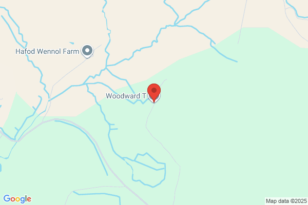 T Woodward