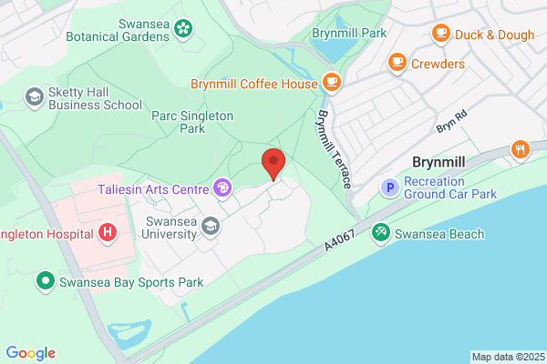 Swansea Language Services