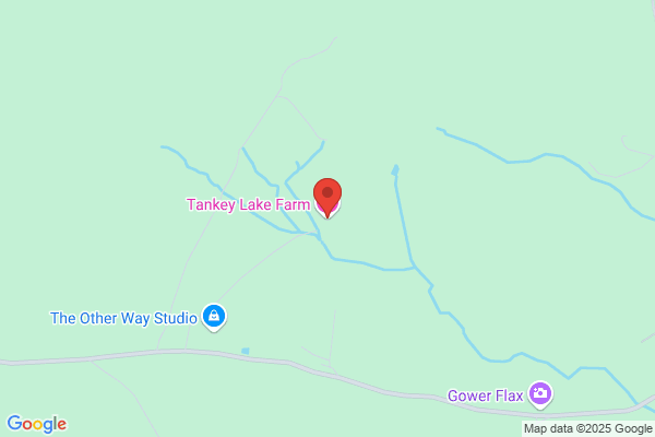 Tankey Lake Livery