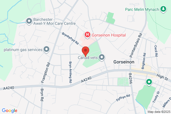 Gorseinon Junior School