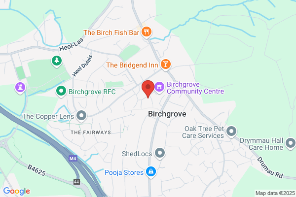 Birchgrove Special Needs Service