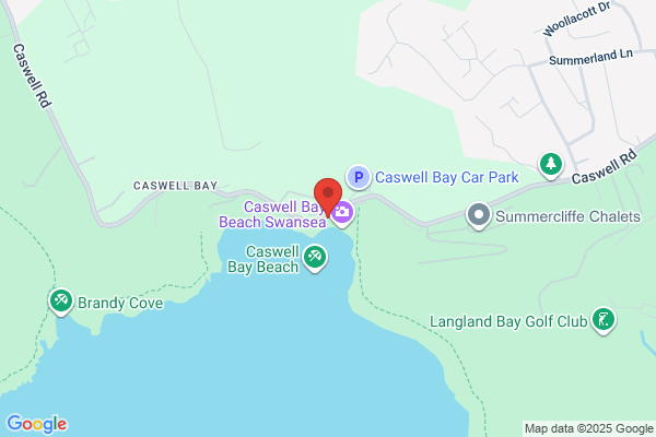 Gower Surfing Development