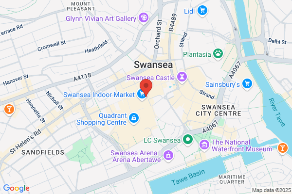 VPZ Swansea