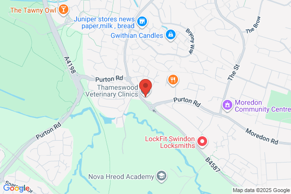 Thameswood Veterinary Clinics