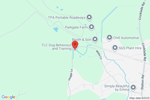 T J Canine Services