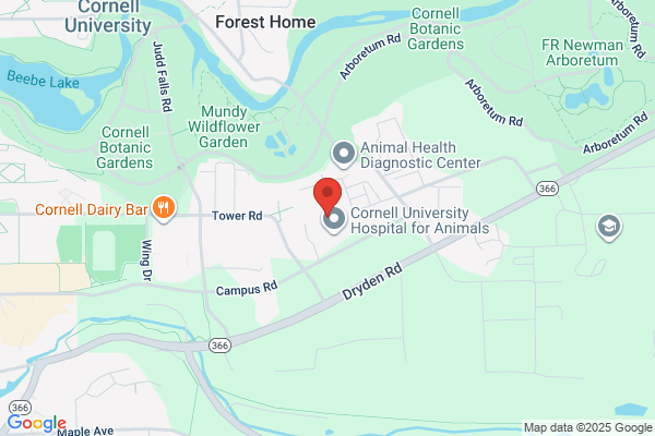 Cornell & Salmon