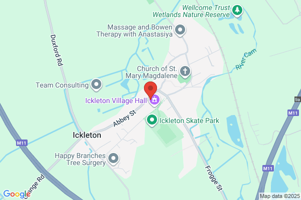 The Ickleton Lion