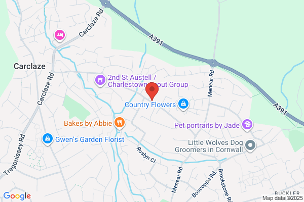 Freeway School of Motoring St Austell