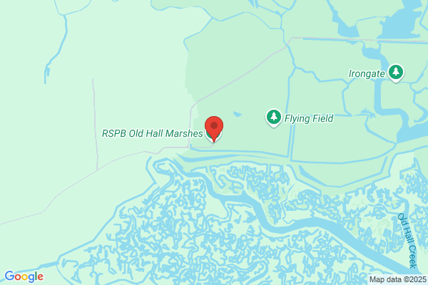 Old Hall Marsh Farm